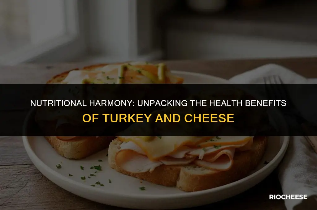 is turkey and cheese healthy