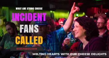 Unraveling the Mystery: What Are String Cheese Incident Fans Called?