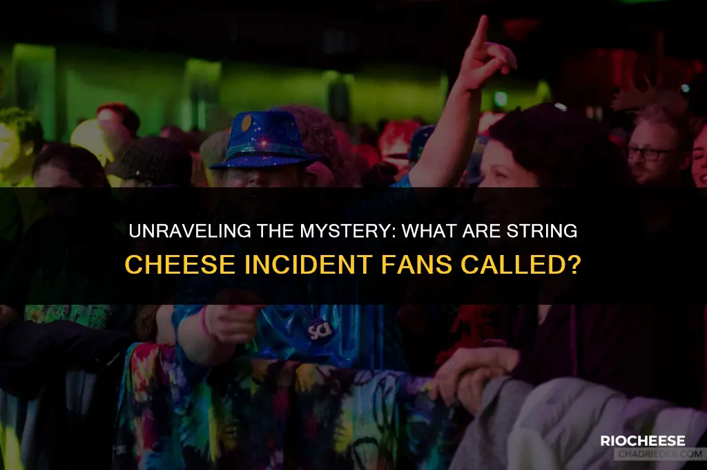 what are string cheese incident fans called