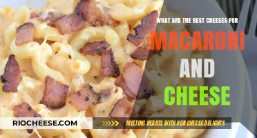 The Ultimate Guide to Perfect Macaroni and Cheese: Top Cheeses Revealed