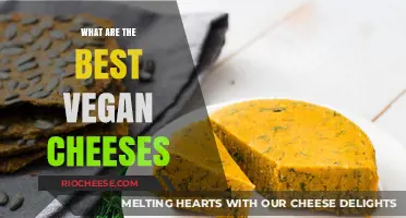 Discover the Top Vegan Cheese Alternatives: A Delicious Guide