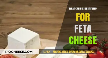 Exploring Flavorful Alternatives: What Can Be Substituted for Feta Cheese?