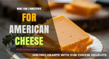 Delicious Alternatives: What Can I Substitute for American Cheese?