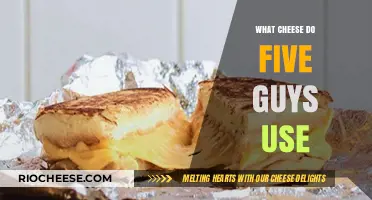 Unveiling the Cheesy Secret: Inside Five Guys' Burger Empire
