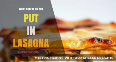 From Mozzarella to Parmesan: The Ultimate Guide to Lasagna Cheese