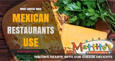 Exploring the Cheesy Delights of Mexican Restaurants: A Guide to Popular Varieties