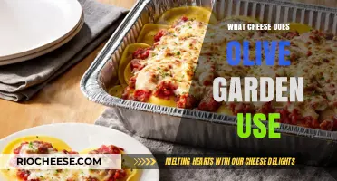 Unveiling Olive Garden's Secret: The Cheese That Makes Their Dishes Irresistible