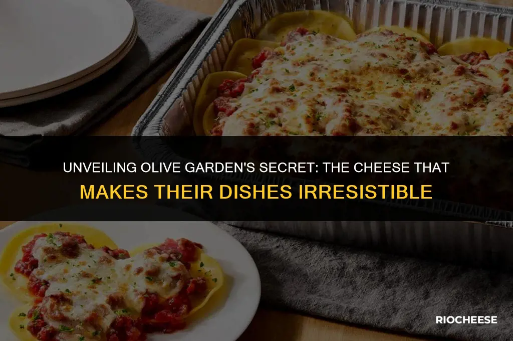 what cheese does olive garden use
