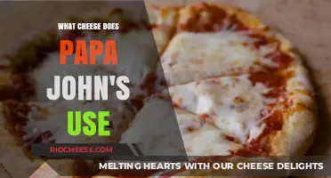 Unveiling Papa John's Secret: The Cheese Behind the Pizza Magic