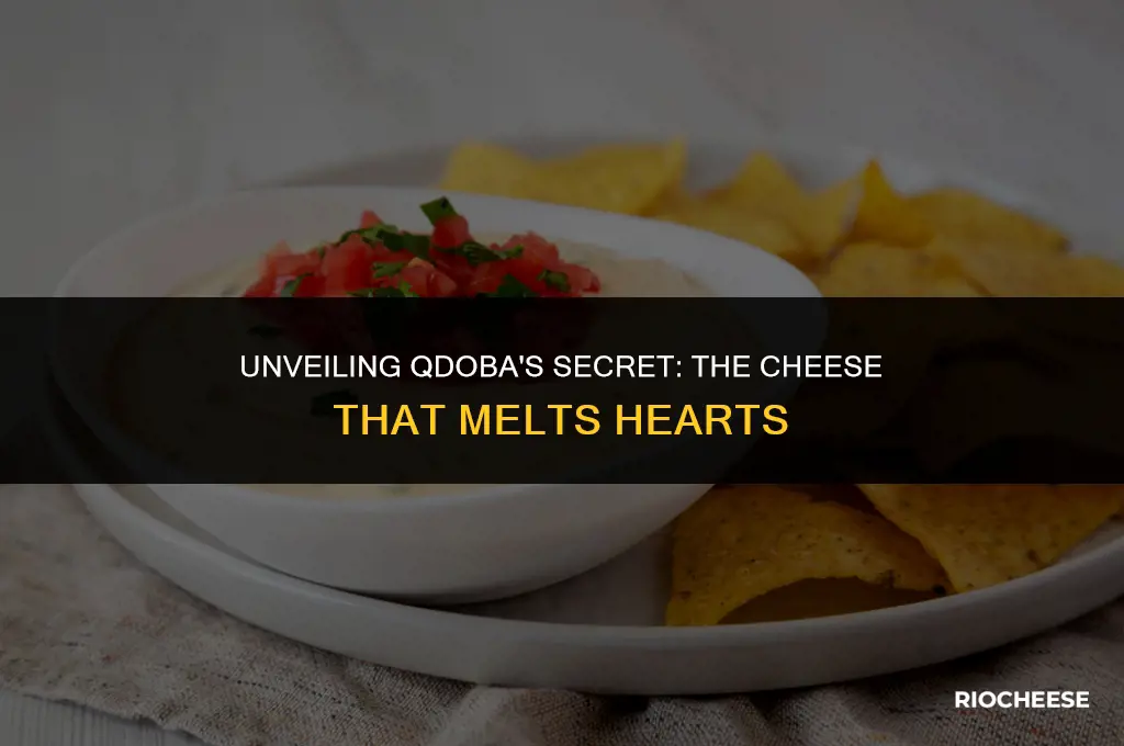what cheese does qdoba use