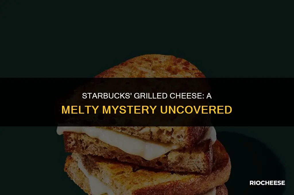 what cheese does starbucks use for grilled cheese