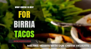 Discover the Perfect Cheese for Your Birria Tacos: A Flavorful Guide
