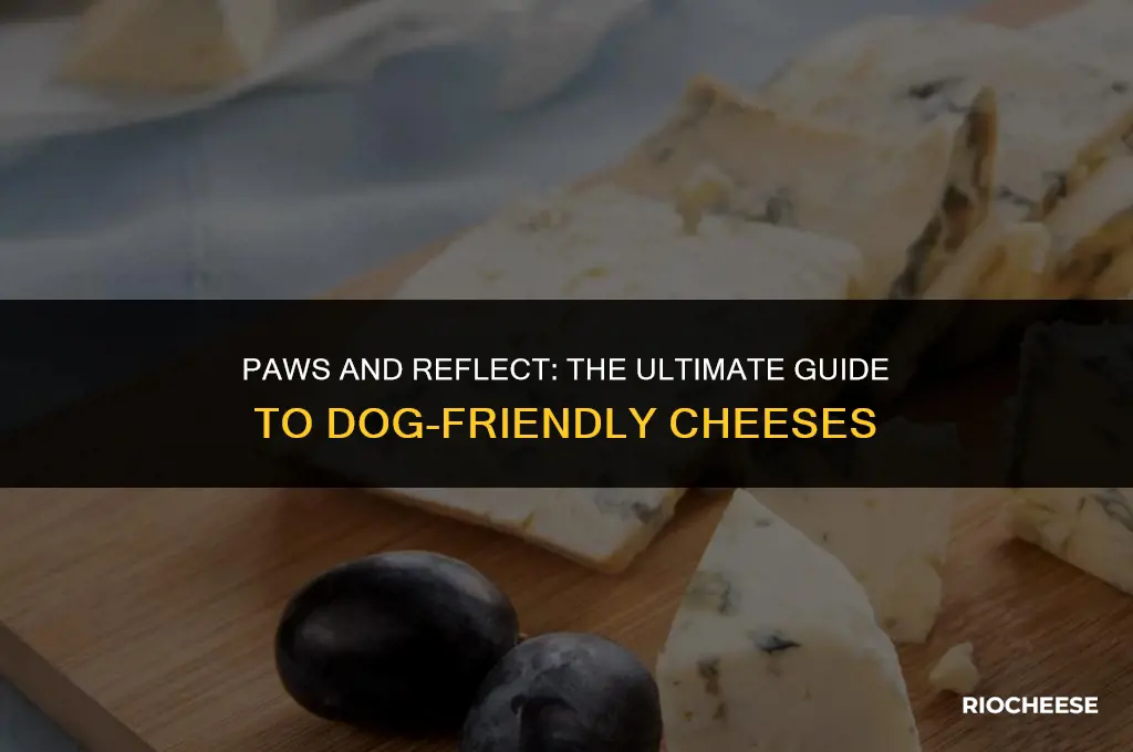 what cheese is best for dogs