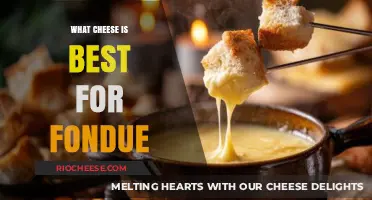 Melty Bliss: Unveiling the Perfect Cheese for Fondue