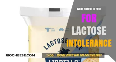 Navigating Dairy: Top Cheese Picks for Lactose Intolerance Sufferers