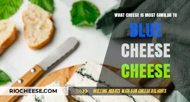 Exploring the Bold Flavors: Cheeses That Rival Blue Cheese