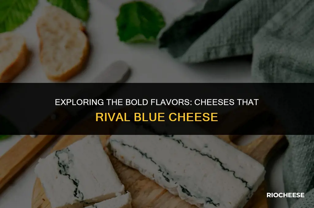 what cheese is most similar to blue cheese cheese