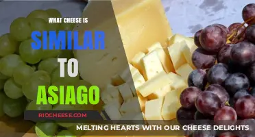 Exploring Cheesy Alternatives: Discover the Best Substitutes for Asiago