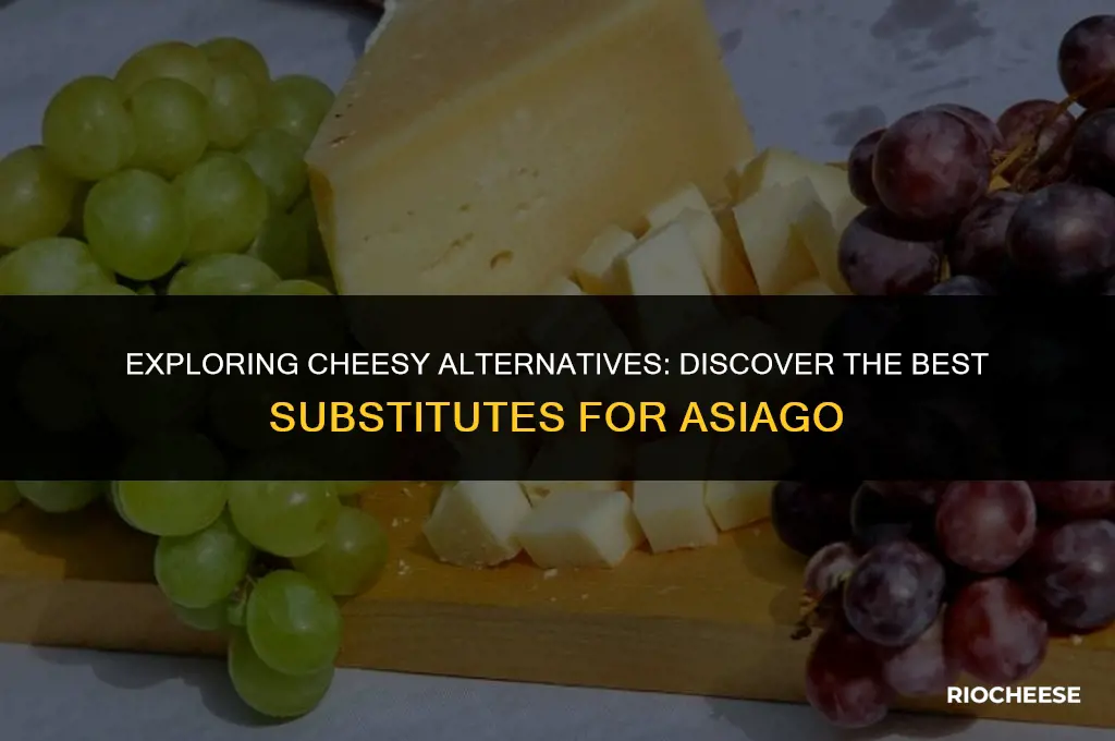 what cheese is similar to asiago