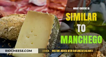 Exploring Cheesy Alternatives: Discovering the Perfect Substitute for Manchego