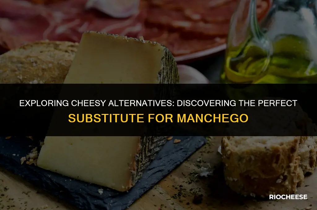 what cheese is similar to manchego