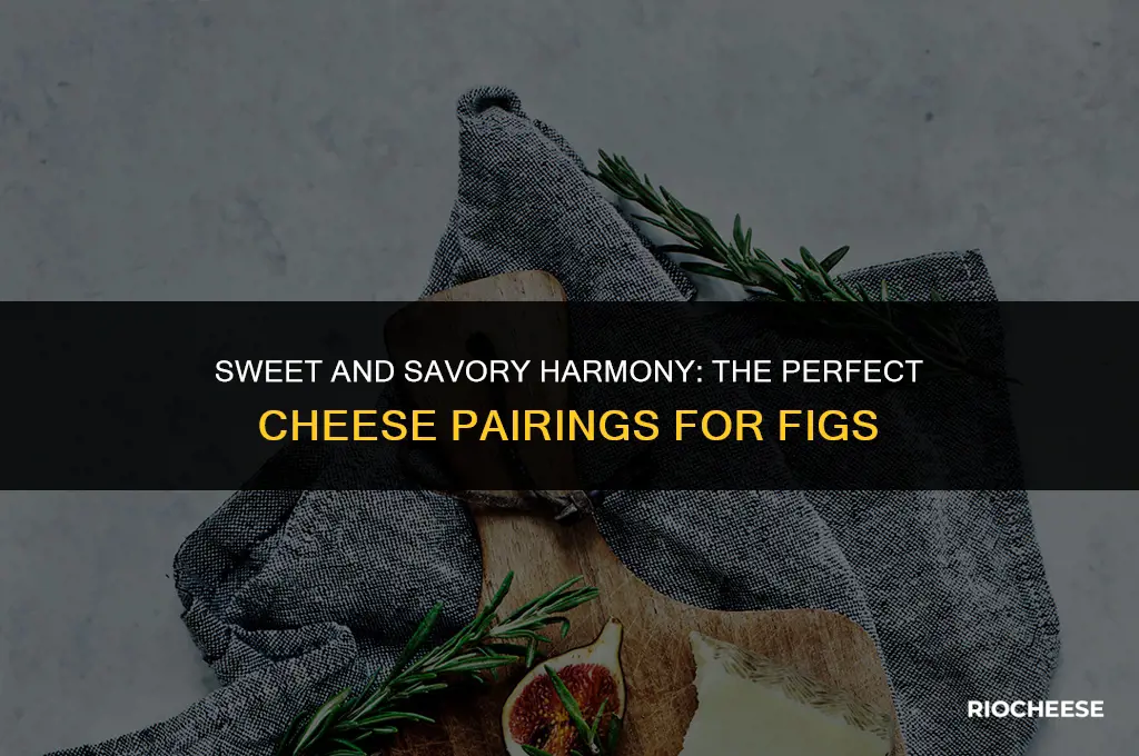 what cheese pairs well with figs
