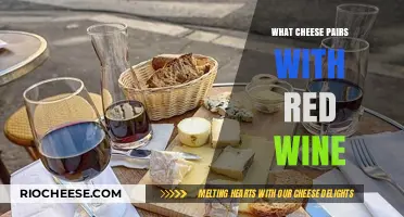 Savoring Sophistication: The Perfect Cheese Companions for Red Wine