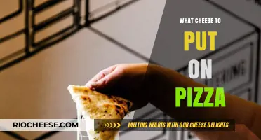 The Ultimate Guide to Choosing the Perfect Cheese for Your Pizza