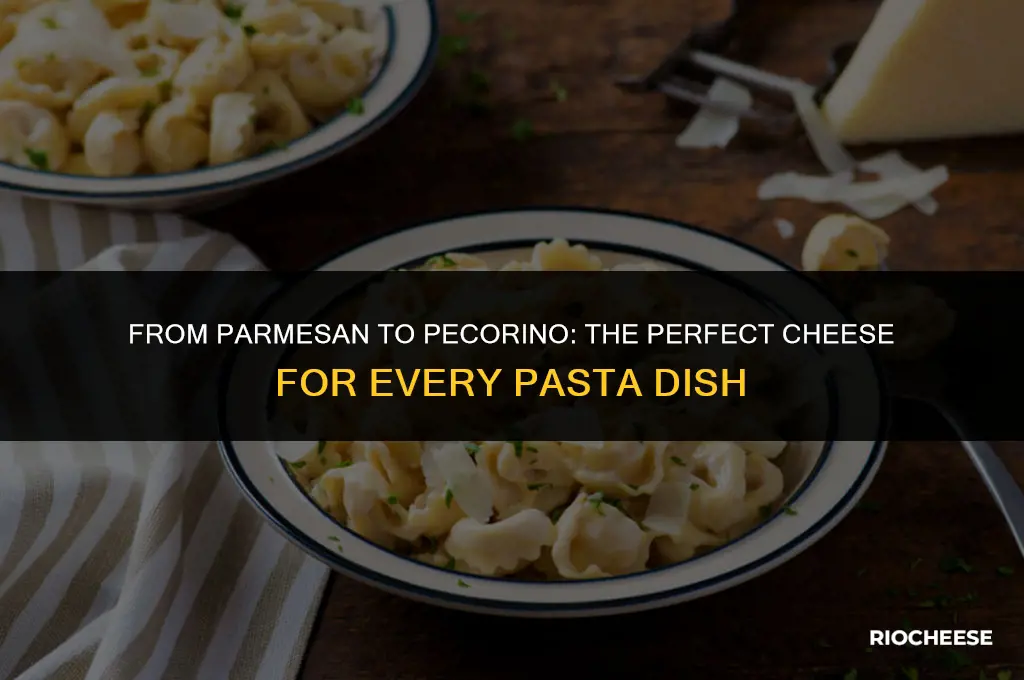 what cheese to use for pasta