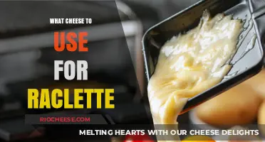 Melty Perfection: Choosing the Ideal Cheese for Raclette Night