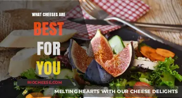 Discover the Healthiest Cheese Options for Your Diet