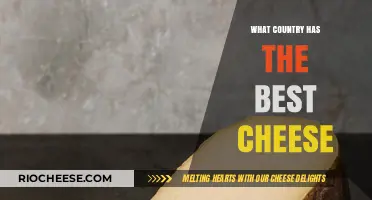 A Global Gouda Guide: Which Country Reigns Supreme in Cheese?