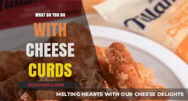 From Squeaky to Scrumptious: Creative Ways to Enjoy Cheese Curds