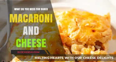 Essential Ingredients for the Perfect Baked Macaroni and Cheese