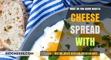 Delicious Pairings: What to Serve with Ricotta Cheese Spread