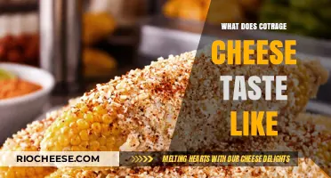 Exploring the Rich Flavor Profile of Cotija Cheese: A Taste Journey