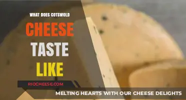 Exploring the Rich Flavors of Cotswold Cheese: A Taste Journey