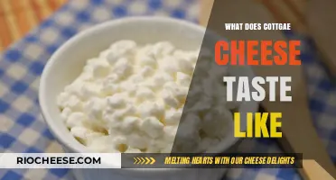 Exploring the Flavor Profile of Cottage Cheese: A Comprehensive Guide