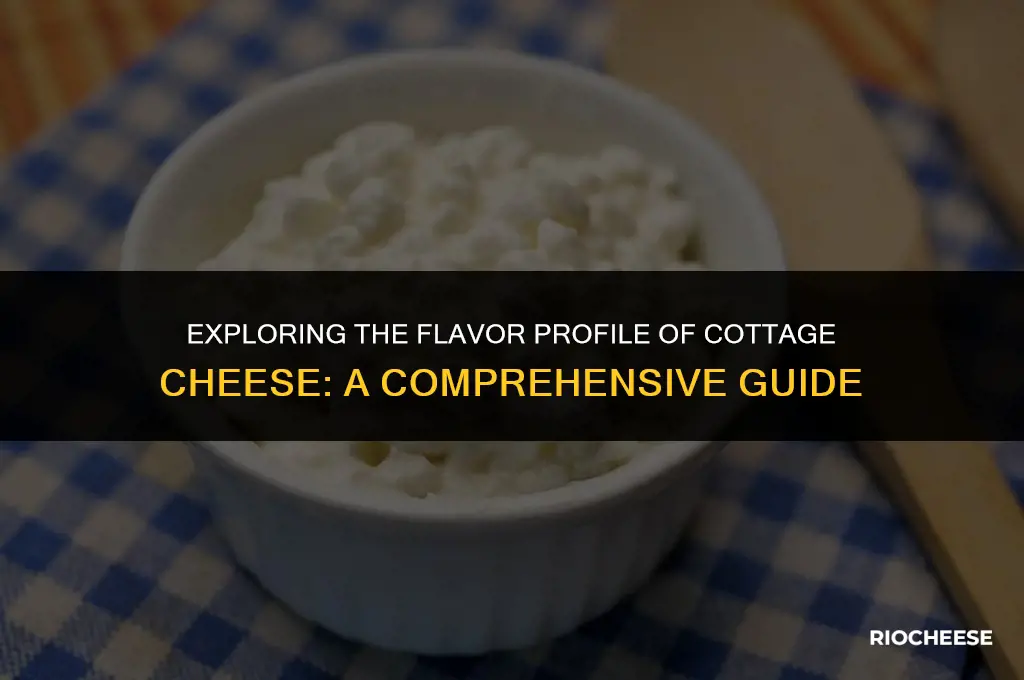 what does cottgae cheese taste like