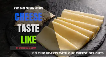 Exploring the Rich Flavor Profile of Creamy Havarti Cheese