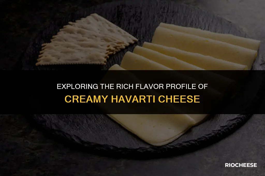 what does creamy havarti cheese taste like