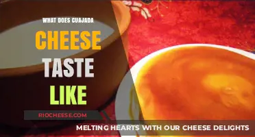 Exploring the Rich Flavor Profile of Cuajada Cheese