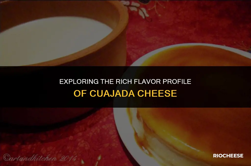 what does cuajada cheese taste like