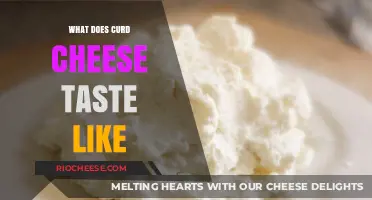 Exploring the Rich and Tangy Flavor Profile of Curd Cheese