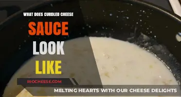 The Visual Guide to Perfectly Curdled Cheese Sauce