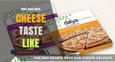 Exploring the Flavor Profile of Daiya Cheese: A Vegan's Delight