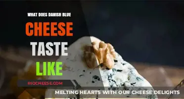 Exploring the Rich and Tangy Flavors of Danish Blue Cheese