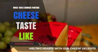Exploring the Rich Flavor Profile of Danish Fontina Cheese