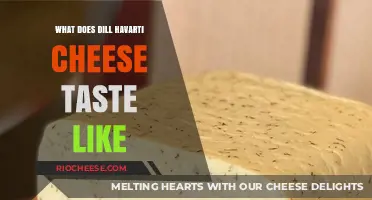 Exploring the Flavor Profile of Dill Havarti Cheese