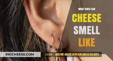 Exploring the Unique Aroma of Ear Cheese: A Sensory Journey